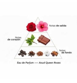 Aoud Queen Roses 100 ml - Montale Paris