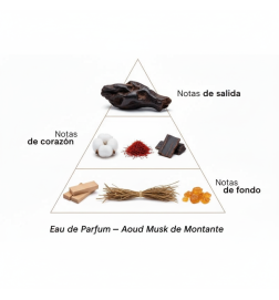 Aoud Musk 100 ml - Montale Paris