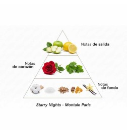 Intense Starry Nights 100 ml - Montale Paris