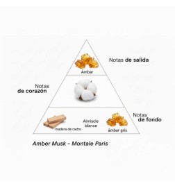 Amber Musk 100 ml - Montale Paris