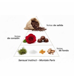 Sensual Instinct 100ml - Montale Paris