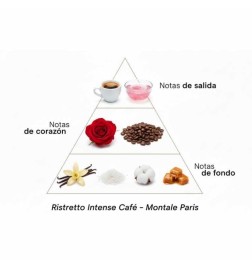 Ristretto Intense Café 100 ml - Montale Paris