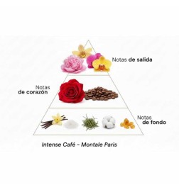 Intense Café 100 ml - Montale Paris