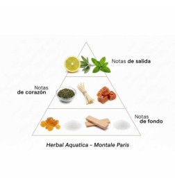 Herbal Aquatica 100ml - Montale Paris
