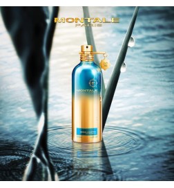 Herbal Aquatica 100ml - Montale Paris