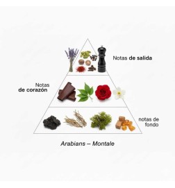 Arabians 100ml  - Montale Paris