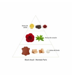 Black Aoud 100 ml - Montale Paris
