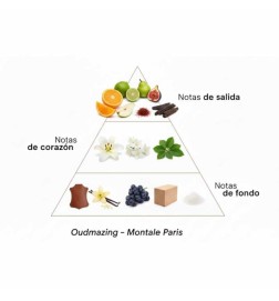 Oudmazing 100 ml - Montale Paris