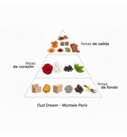 Oud Dream 100 ml - Montale Paris