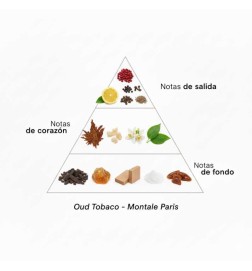 Oud Tobacco 100 ml - Montale Paris