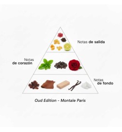 Oud Edition 100 ml - Montale Paris
