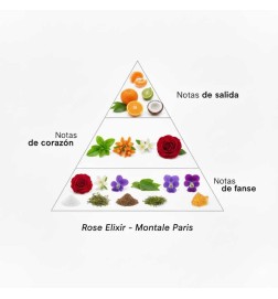 Rose Elixir 100 ml - Montale Paris