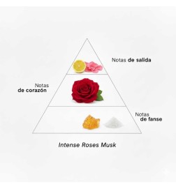 Intense Roses Musk 100 ml - Montale Paris
