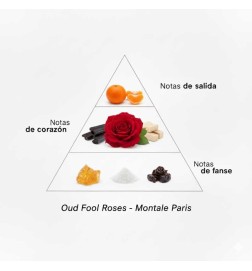 Oud Fool Roses 100 ml - Montale Paris