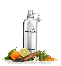 Wood & Spices 100 ml - Montale Paris