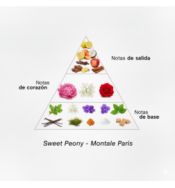 Sweet Peony 100 ml - Montale Paris