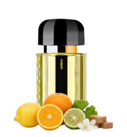 Umbra EDP - Ramon Monegal