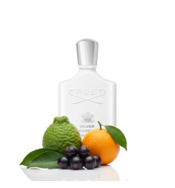 Silver Mountain Water - Creed